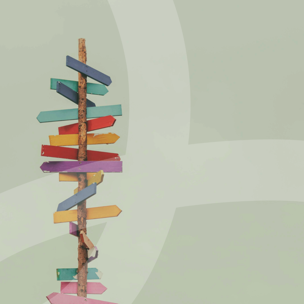 Is X the right platform for your organisation?