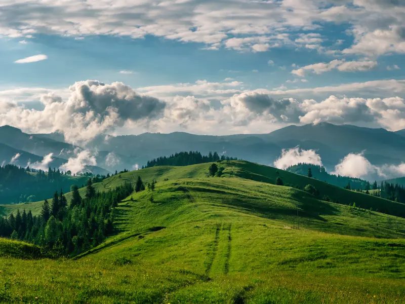 Exploring the Taskforce on Nature-related Financial Disclosures (TNFD) framework